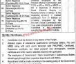 Lahore Jinnah Hospital Govt It Jobs 2022 Advertisement Pk