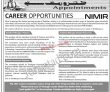 Lahore Nimir Industrial Chemicals Limited Today Pakistan Jobs 2022 Advertisement