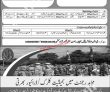 Lahore Pakistan Army Mujahid Force Pakistan New Jobs 2022 Advertisement