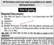 Lahore Punjab Population Innovation Govt Today Jobs 2022 Advertisement