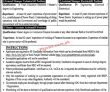 Lahore Punjab Thermal Power Private Limited Today Jobs 2022 Advertisement