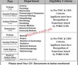 Lahore Rashid Latif Medical College Pakistan Government Jobs 2022 Advertisement