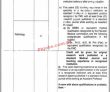 Lahore Specialized Healthcare And Medical Education Department Punjab Latest In