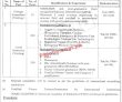 Lahore University Of Health Sciences Uhs New Government Today Jobs