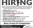 Largest Growing Company