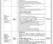 Latest Bureau Of Statistics Jobs 2024
