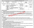 Latest Caa jobs 2023 | Pakistan Civil Aviation Authority Caa Announced