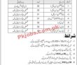 Latest Dho Jobs 2023 | District Health Office Head Office