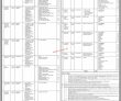 Latest Directorate General Of Immigration And Passports Dgip Jobs 2023