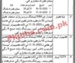 Latest District & Session Court jobs 2023