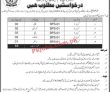 Latest Education Department Jobs 2023