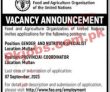 Latest Fao jobs 2023 | Food And Agriculture Organization Fao Announced