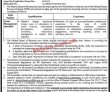 Latest Fbr Jobs | Jobs Advertisement At Federal Board Of
