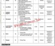 Latest Federal Ombudsman Secretariat jobs 2023