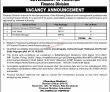 Latest Finance Division Jobs