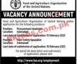 Latest Food And Agriculture Organization Fao Jobs 2023