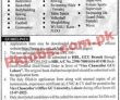 Latest Gc University jobs 2023