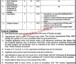 Latest Government Jobs Holy Family Hospital Punjab Jobs 2022