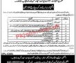 Latest Government Of Punjab jobs 2023