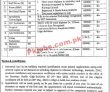 Latest Govt Jobs Health Department Gilgit Baltistan Jobs 2022