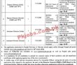 Latest Govt Jobs Pakistan Today Punjab Planning & Development Board
