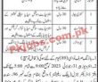 Latest Information Department jobs 2023 | Information Department Announced Latest jobs 2023