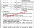 Latest Jobs Available At Tourism Development Corporation Tdcp