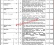 Latest Jobs At Primary & Secondary Healthcare Department