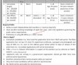 Latest Jobs In Pakistan Today Trade Development Authority Of Pakistan