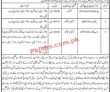 Latest Judiciary Jobs 2023 | District Court Headquarters Announced Latest