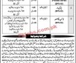 Latest Judiciary Jobs 2023 | Judiciary Headquarters Announced Latest Recruitments