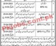 Latest Levies Force jobs 2023