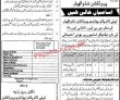 Latest Livestock & Dairy Development Department jobs 2023