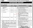 Latest Mines & Mineral Development Department jobs 2023