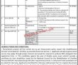 Latest Ministry Of Economic Affairs jobs 2023 | Ministry Of Economic