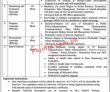 Latest Ministry Of Federal Education jobs 2023