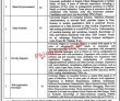 Latest Ministry Of Industries And Production Jobs 2023
