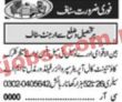 Latest Multinational Company Jobs