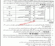 Latest Municipal Committee Jobs 2023