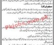 Latest Npf jobs 2023 | National Police Foundation Npf jobs 2023 |