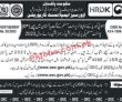Latest Overseas Employment Corporation Oec Jobs 2023