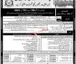 Latest Paf jobs 2023 | Pakistan Air Force Paf announced Latest Jobs