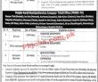 Latest Prmsc jobs 2023 | Punjab Rural Municipal Services Company Jobs 