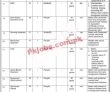 Latest Psb jobs 2023 | Pakistan Sports Board Jobs 2023 |