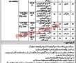 Latest Pakistan Bait Ul Maal jobs 2023