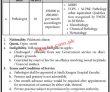 Latest Pakistan Rangers Jobs Apply Online
