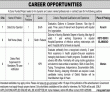 Latest Paperpk Jobs in Donor Funded Project
