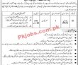 Latest Patwari Jobs 2023