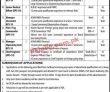 Latest Port Qasim Authority Pqa Jobs 2023
