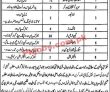 Latest Primary & Secondary Healthcare Department jobs 2023